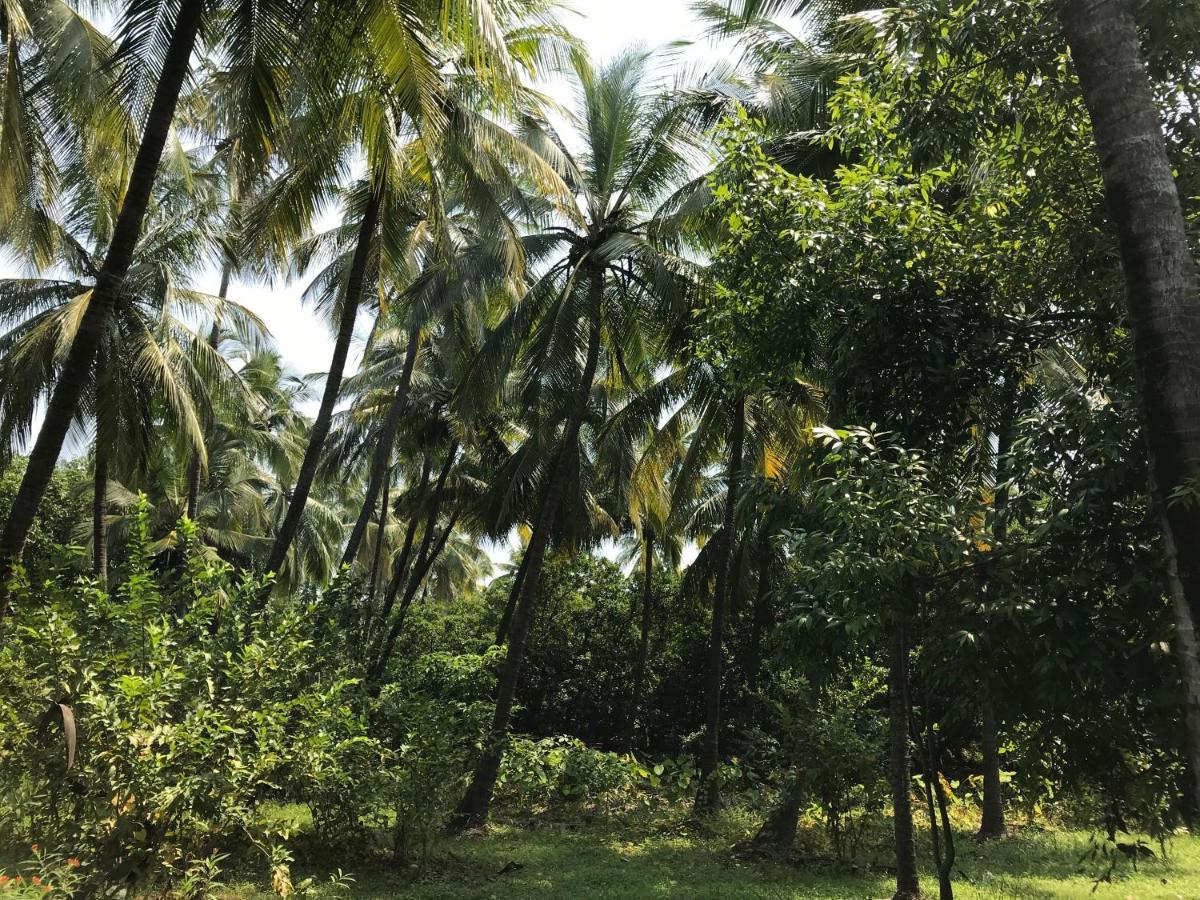 Zohra Baugh, A Green & Organic Farmhouse Stay With All Amenities Dahanu Exterior foto