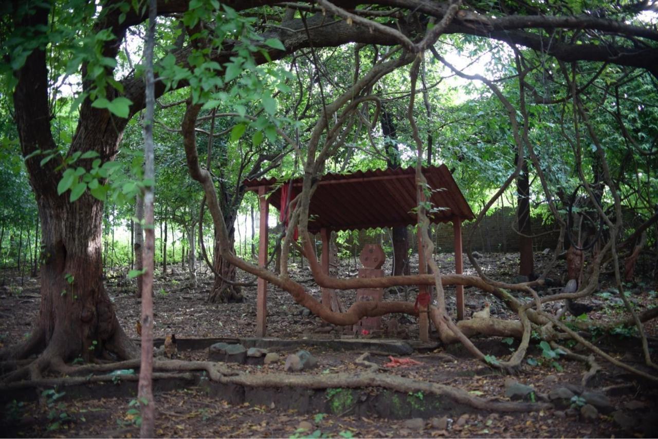 Zohra Baugh, A Green & Organic Farmhouse Stay With All Amenities Dahanu Exterior foto