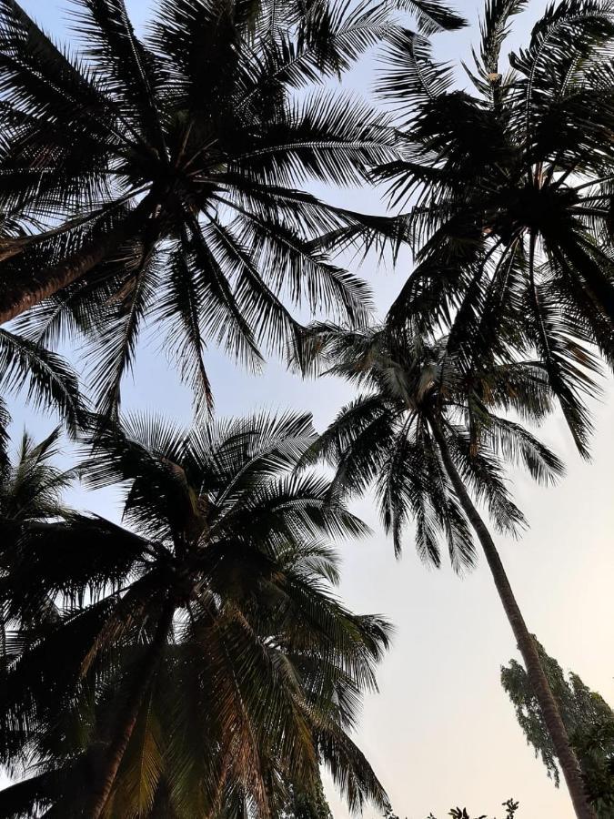 Zohra Baugh, A Green & Organic Farmhouse Stay With All Amenities Dahanu Exterior foto
