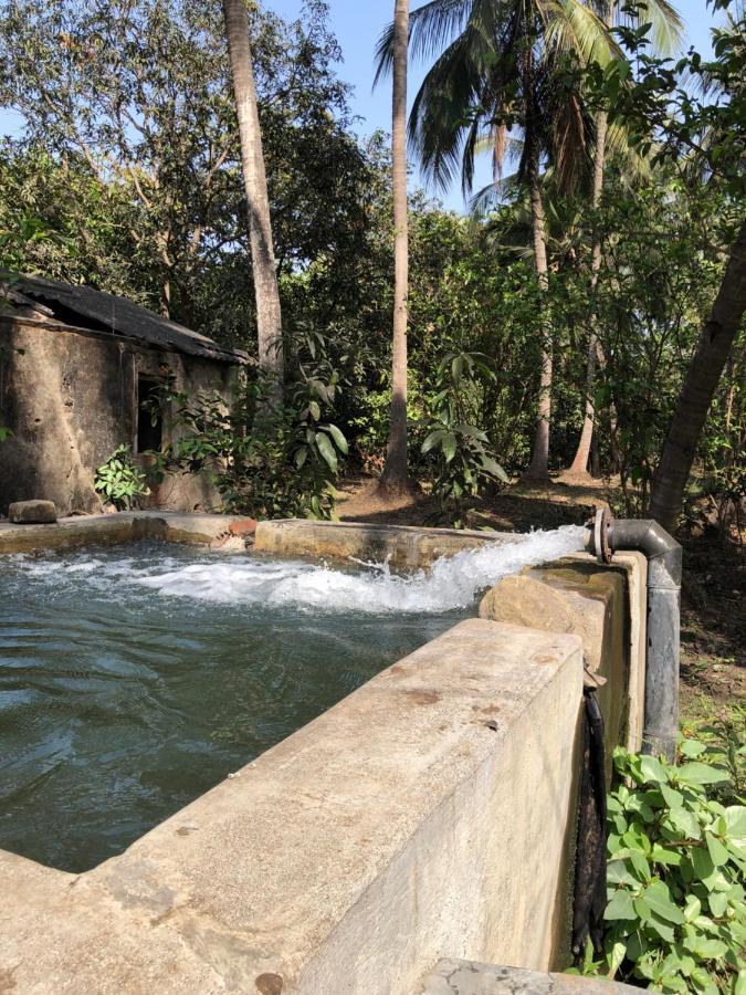 Zohra Baugh, A Green & Organic Farmhouse Stay With All Amenities Dahanu Exterior foto